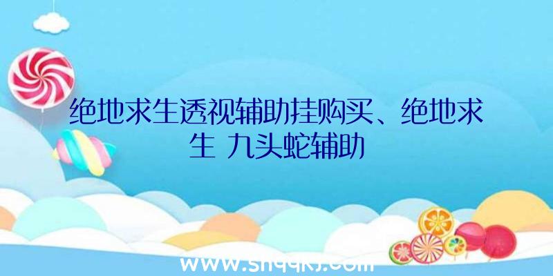 绝地求生透视辅助挂购买、绝地求生